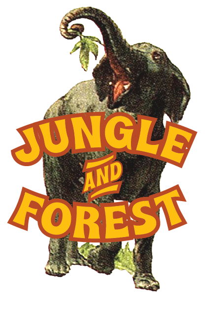 jungleandforest